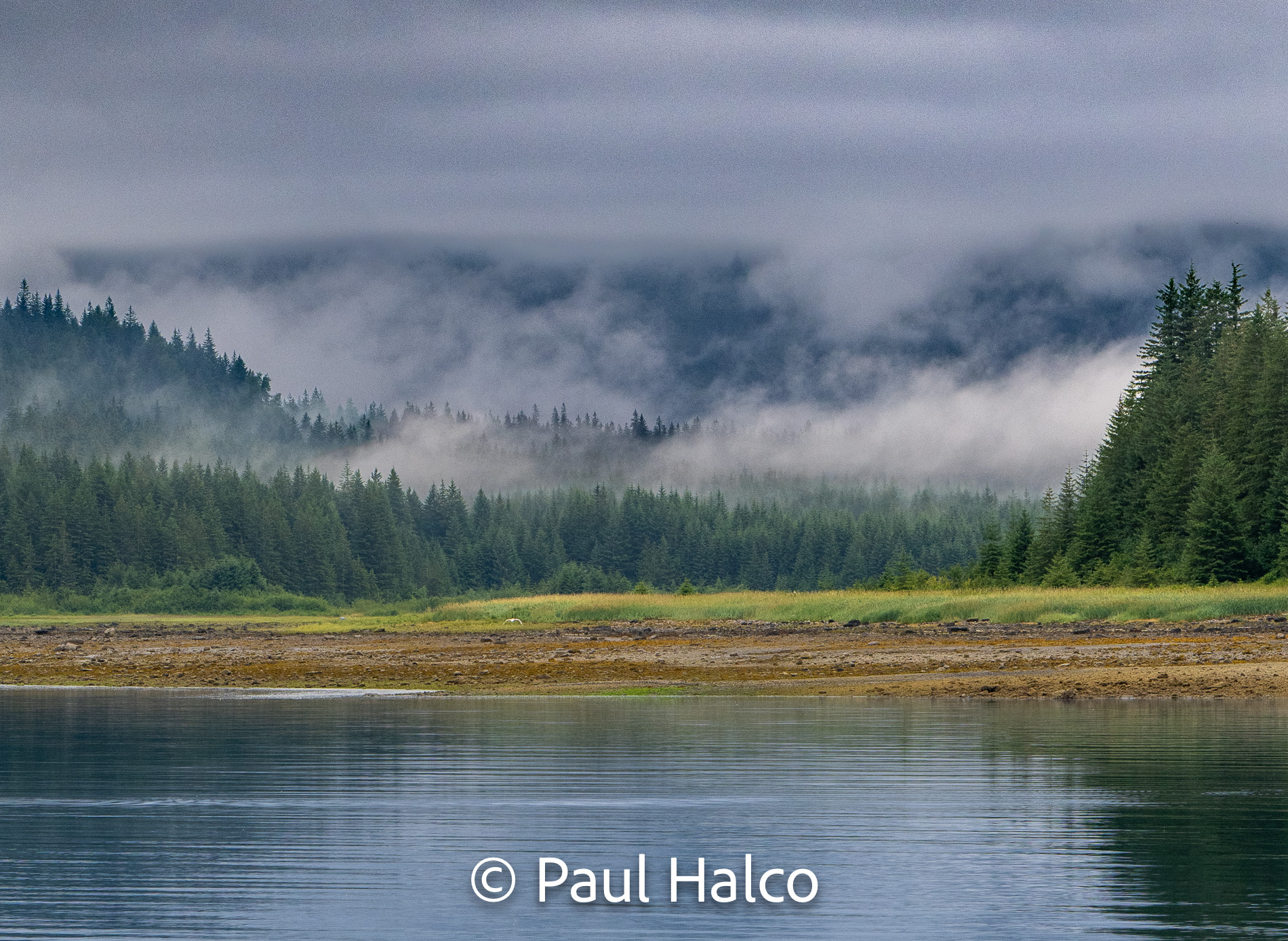 Paul Halco - Glacier Bay NP-13